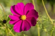 DSC_3340_1920
