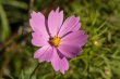 DSC_3344_1920
