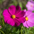 DSC_3208_1920