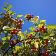 IMG_20190919_133702_1920