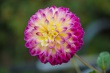 DSC_5645_1920