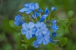 DSC_5651_1920