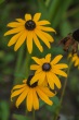 DSC_5654_1920