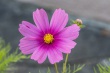 DSC_5657_1920