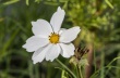 DSC_5658_crop_1920