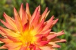 DSC_5665_1920