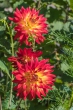 DSC_5690_1920