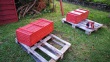 IMG_20200910_185201_1920