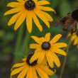 DSC_5654_1920
