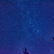 D72_6459_1920