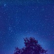 D72_6470_1920