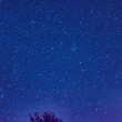 D72_6473_1920