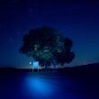 D72_6567_1920