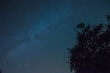 DSC_2348_1920