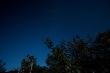 DSC_2364_1920