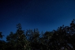 DSC_2369_1920
