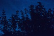 DSC_5282_1920