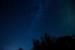 DSC_5339_1920