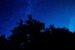 DSC_5380_1920
