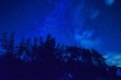 DSC_5401_1920