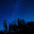 DSC_5359_1920
