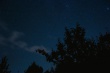 DSC_1581_1920