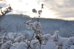 Treppenhausfotos