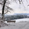 lauchringenimwinter3_1024