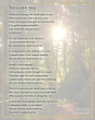 theeldertree