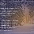 forestfairy1920