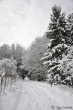 Pathway to Santa Claus