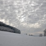 Winter 2010/11