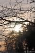 Abendsonne im Januar