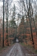 Regenwetterwaldweg