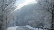 Silberschneewaldweg