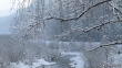 Wutach mit Schnee und Entlein