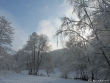 Winterliche Landschaft