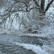 Winterliche Flussmündung