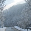 Silberschneewaldweg