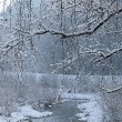 Wutach mit Schnee und Entlein