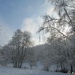 Winterliche Landschaft