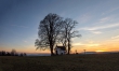 D72_0217_stitch1600