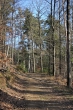 DSC_0018_1024