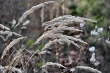DSC_0041_1024