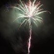 feuerwerk2016_2