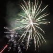 feuerwerk2016_5
