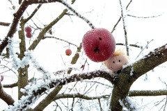 Winter 2016/2017