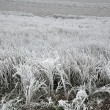 DSC_0143_1200