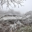 DSC_0201_1200