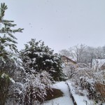 Winter 2025-2026